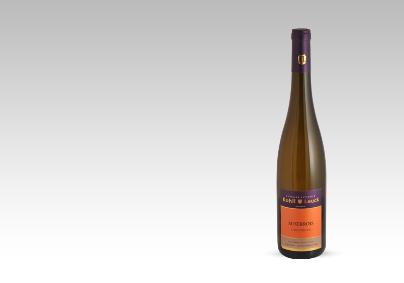 Auxerrois